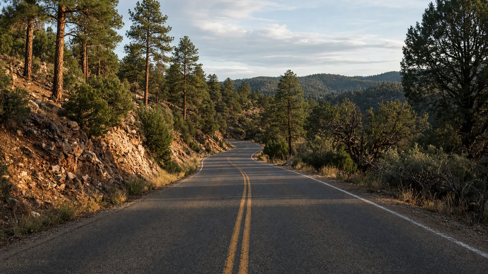Empty Gila National Forest two-lane through ponderosa and juniper near Silver City, Grant County, New Mexico