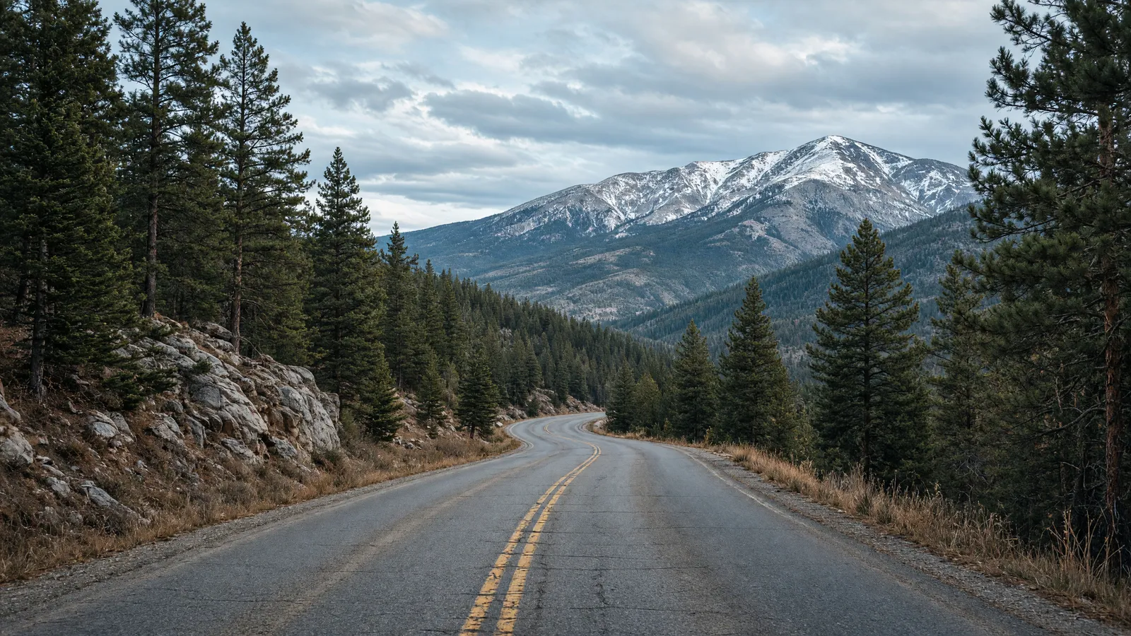 Empty Lincoln National Forest mountain road through pines toward Sierra Blanca near Ruidoso, Lincoln County, New Mexico