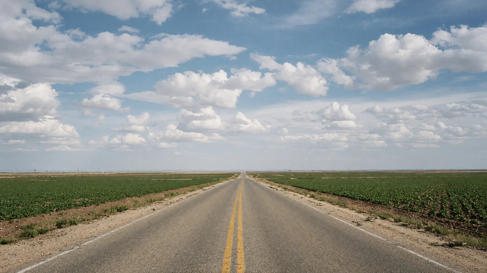 Empty Portales high-plains farm road through peanut fields toward a wide sky, Roosevelt County, New Mexico