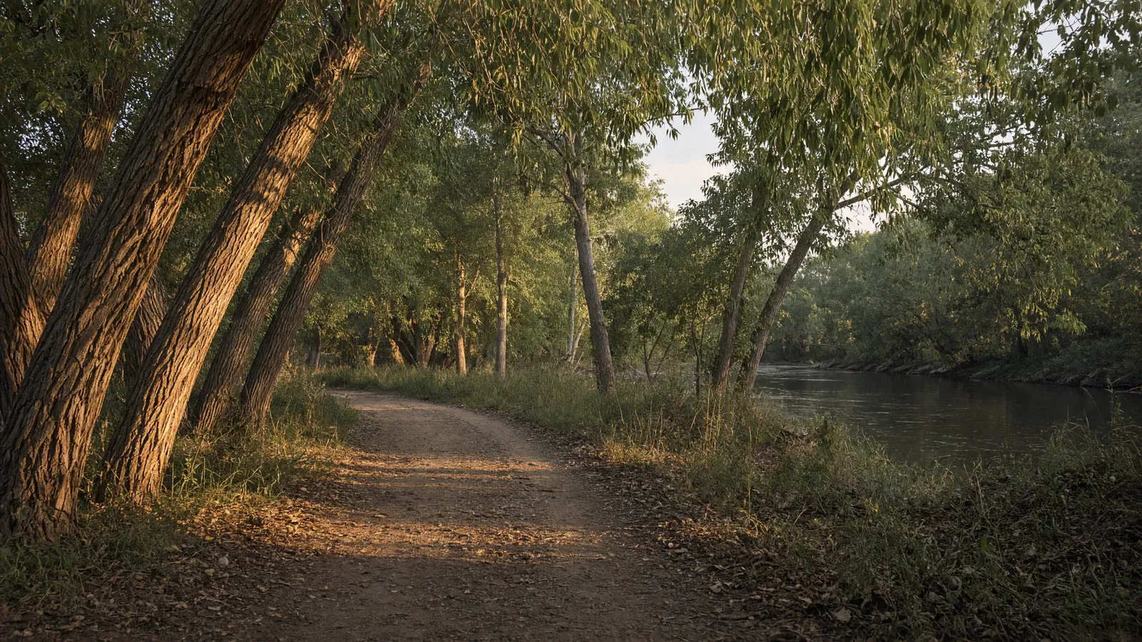 Empty Red River cottonwood path, Cass County, North Dakota