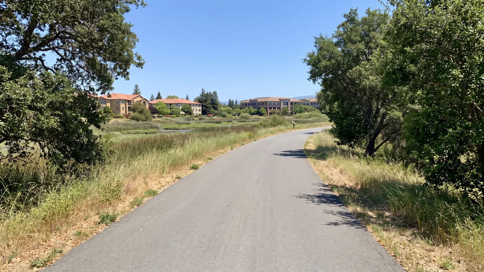 Palo Alto eBike riding area