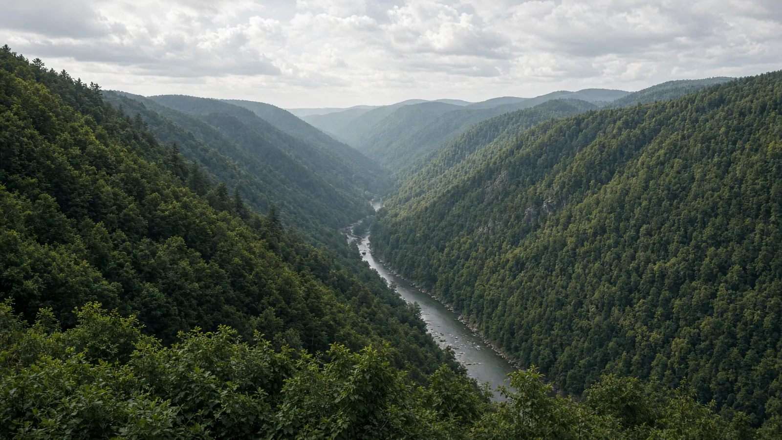 Pine Creek Gorge forested canyon in Pennsylvania