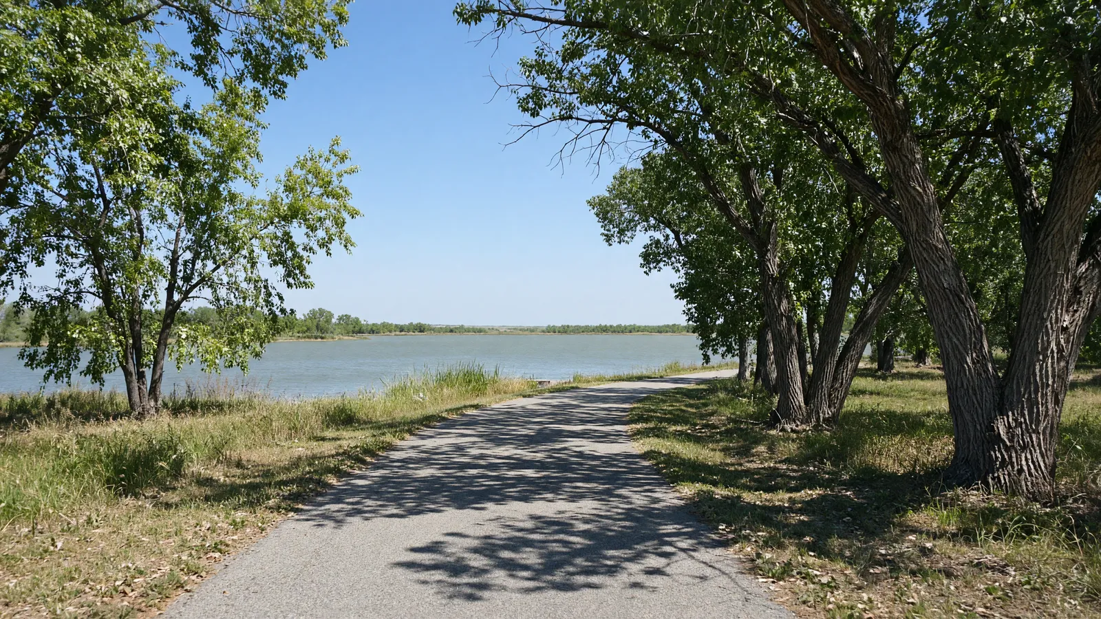 Empty paved path through cottonwoods toward a prairie lake near Aberdeen, Brown County, South Dakota