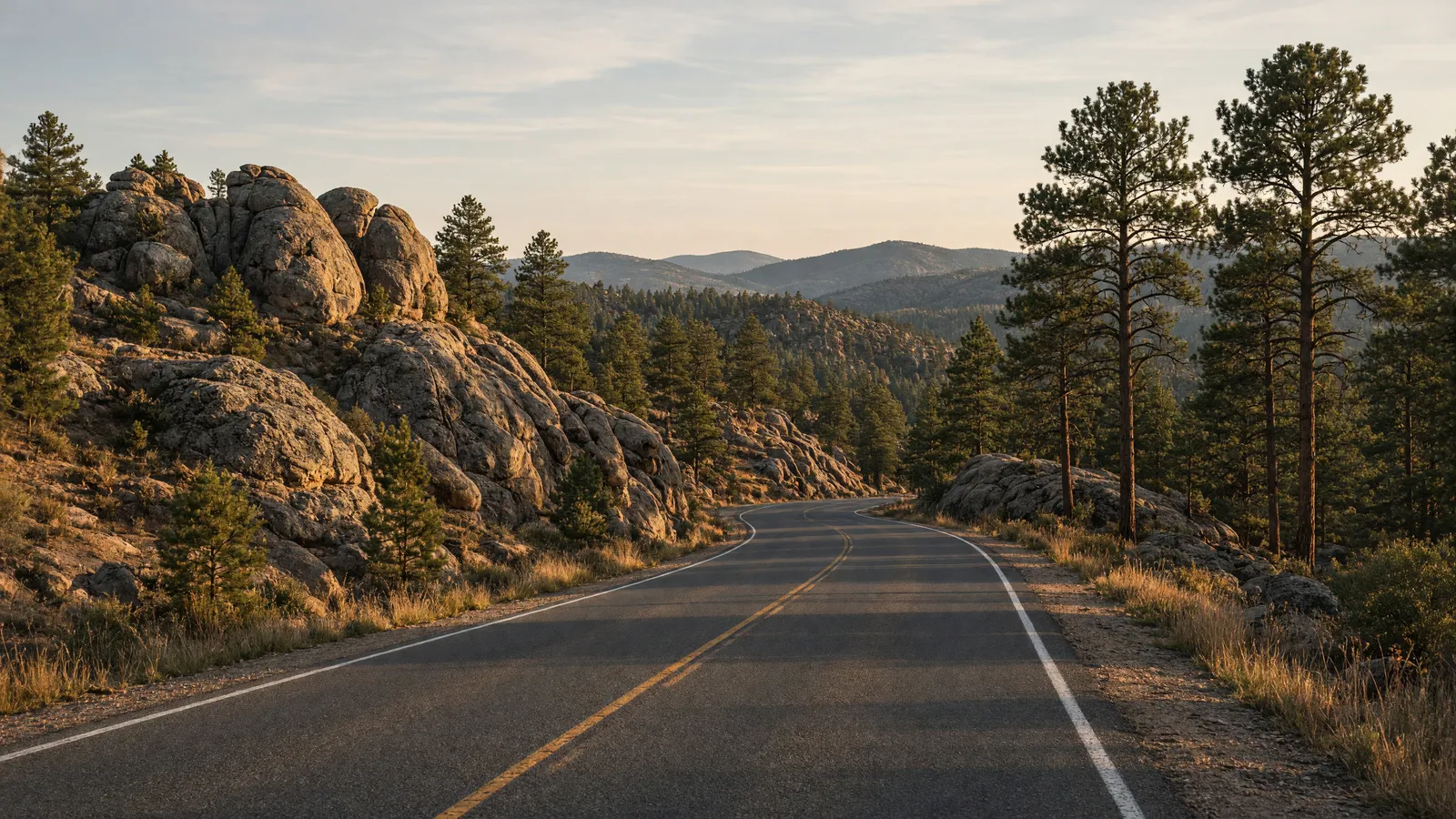Empty Custer State Park Wildlife Loop two-lane through granite outcrops and ponderosa, Custer County, South Dakota