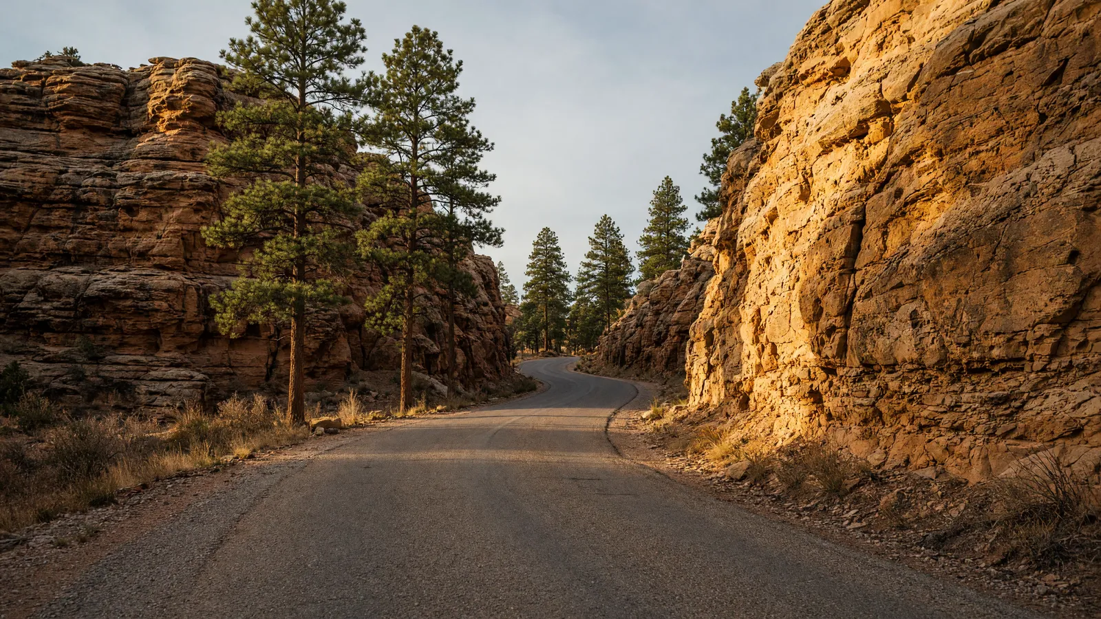 Empty sandstone canyon road through Fall River near Hot Springs, Fall River County, South Dakota