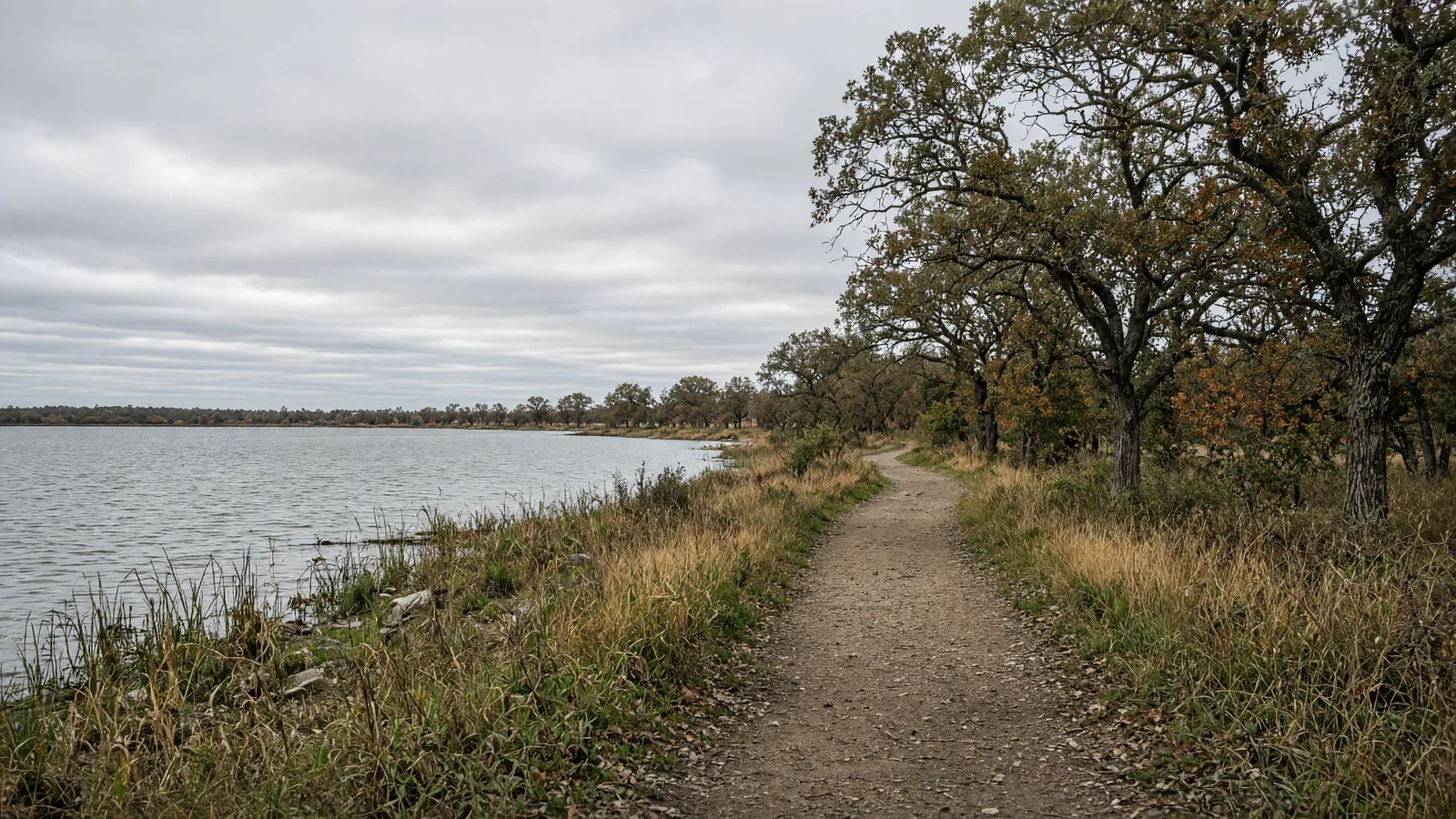 Empty Lake Herman State Park shoreline path through prairie oaks near Madison, Lake County, South Dakota