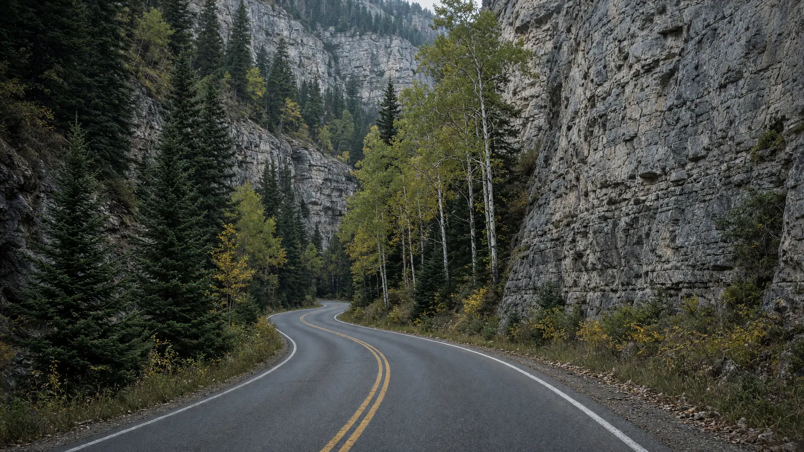 Empty Spearfish Canyon limestone walls and two-lane canyon road, Lawrence County, South Dakota