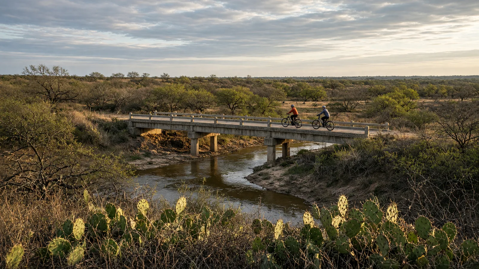 Landscape scene in Bee County, Texas