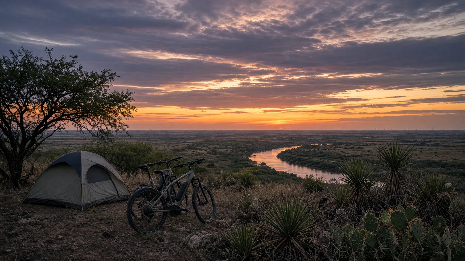 Landscape scene in Hidalgo County, Texas