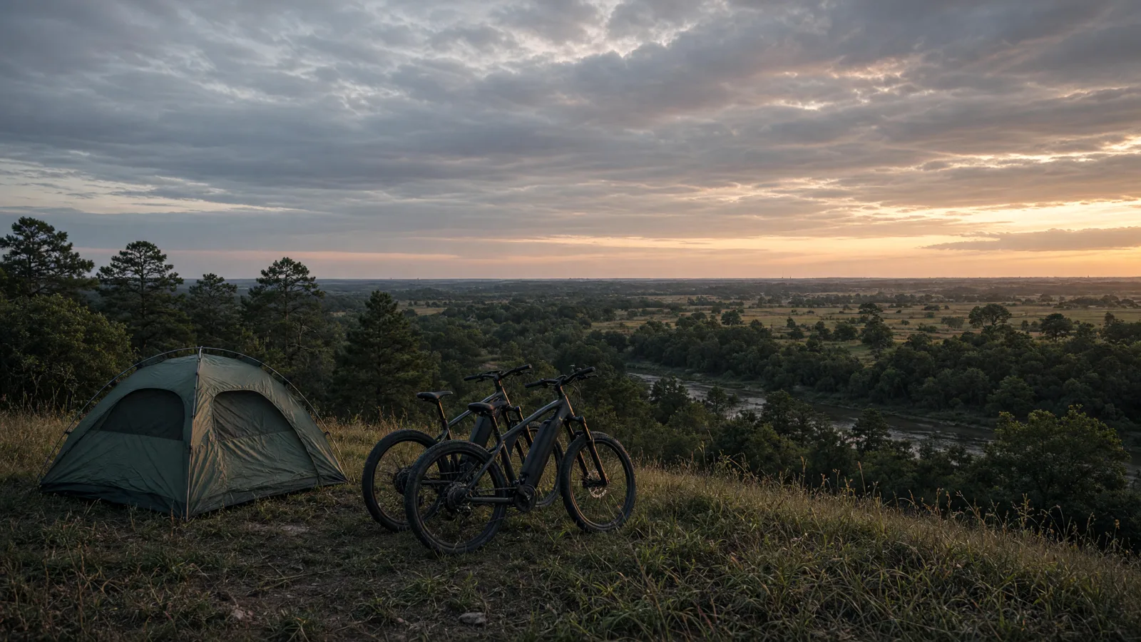Landscape scene in Waller County, Texas
