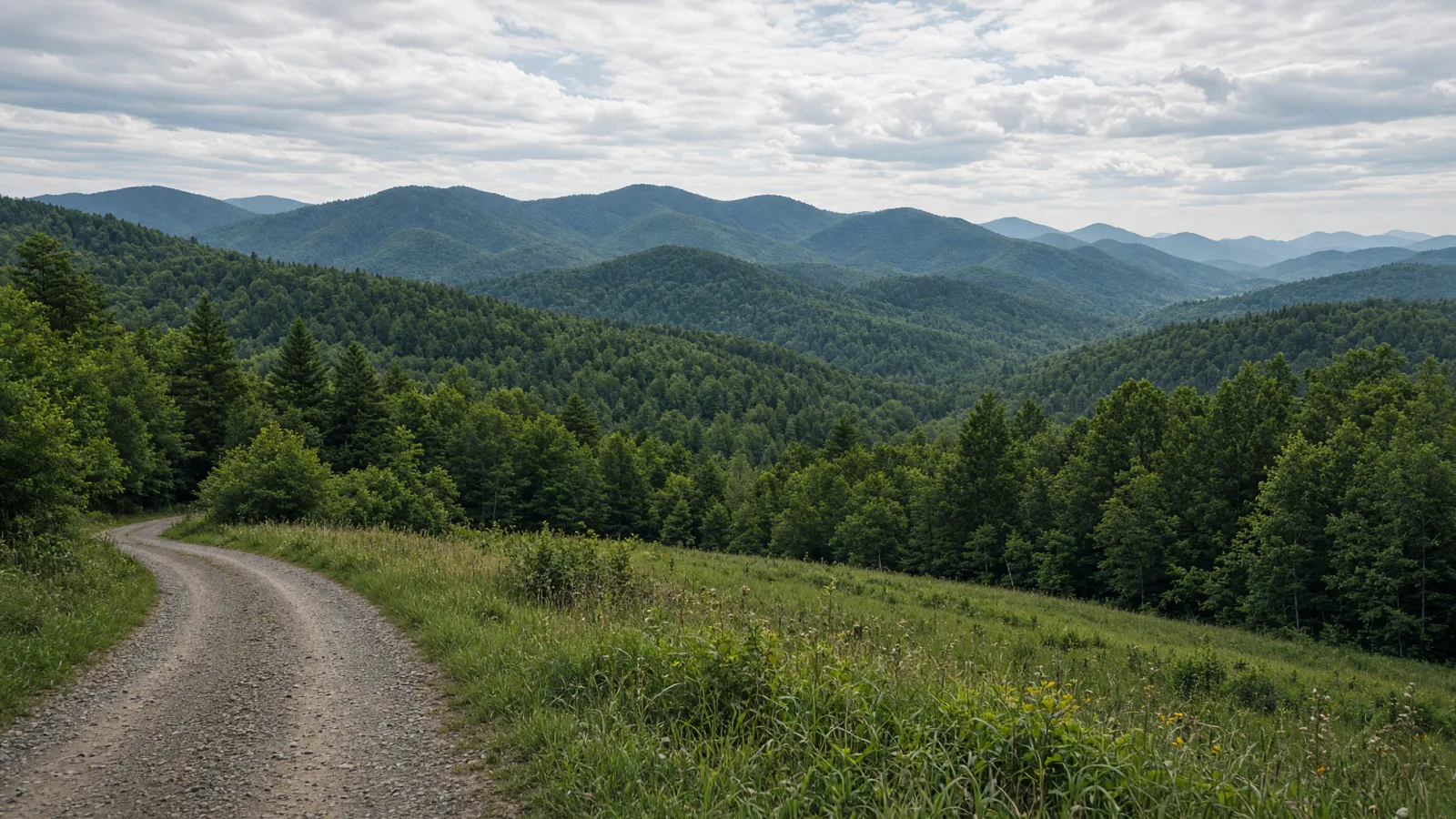 Green Mountains forested ridges in Vermont