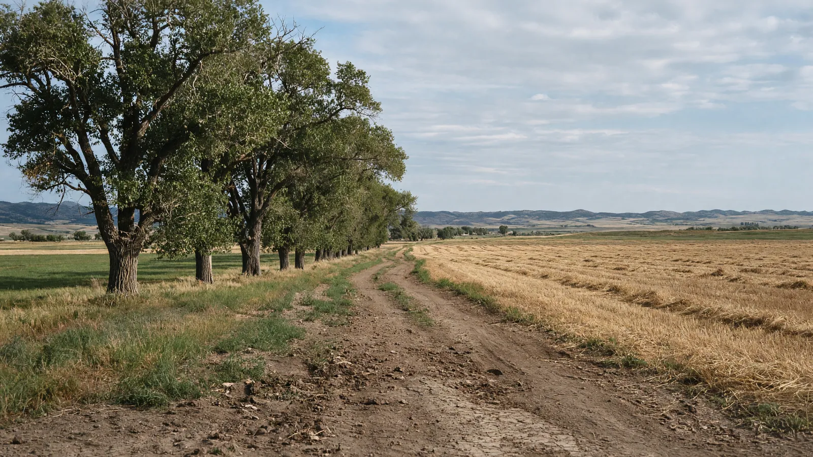 Empty North Platte valley farmland light near Torrington in Goshen County, Wyoming