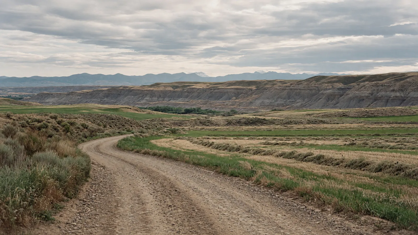 Empty Bighorn Basin farmland near Worland, Wyoming